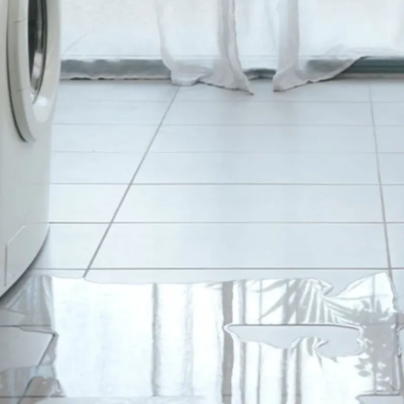 Appliance Leak Cleanup in Centreville, AL